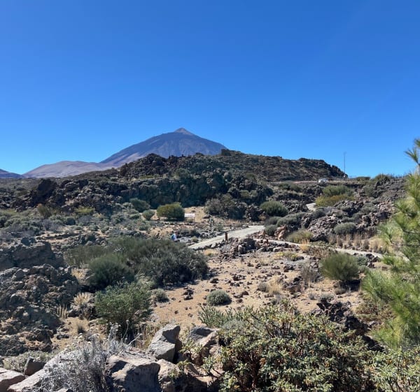Jardin botanique El Portillo - Las Cañadas del Teide - 1