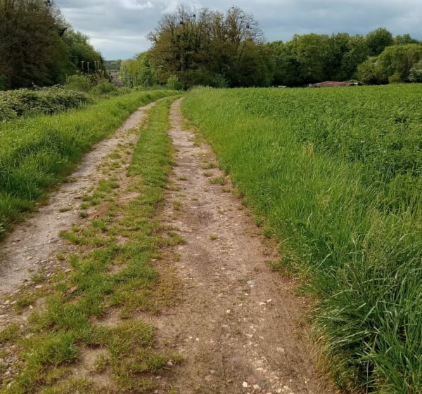 Boucle de Champvans sur Plumont - Sandrine - 1