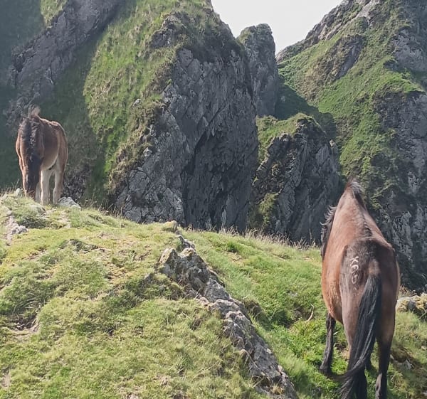Les trois couronnes et Erroilbide - Irún - 1