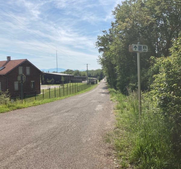 Circuit en mode sport ou tourisme en forêt de Hardt - François - 1