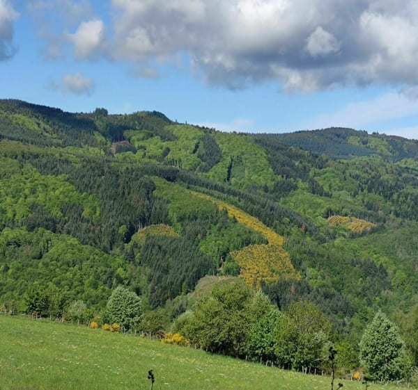 Marche à Saint-André-d'Apchon, par Arcon - Saint-André-d'Apchon - 1