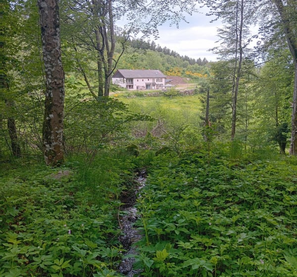 Vers la route de Belfays - Isabelle - 1