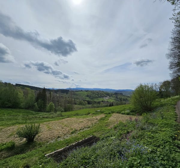 Petite balade dans les Vosges autour de La Rosière - La Rosière - 1