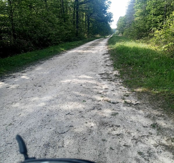 Petit tour dans la forêt de Chambon La Forêt. - Xavier - 1