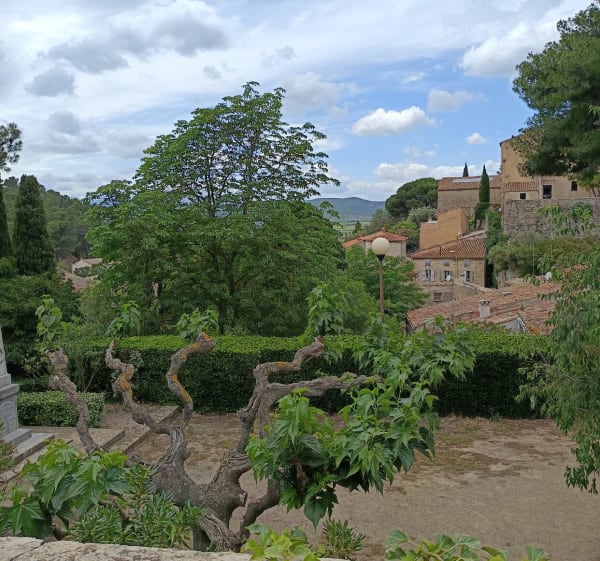 Parc naturel régional à Fraissé-des-Corbières - Hugo - 1