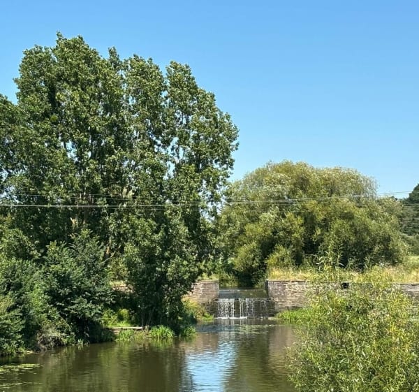 Moulin de Champcors au bois de Cicé à Bruz - Chavagne - 1
