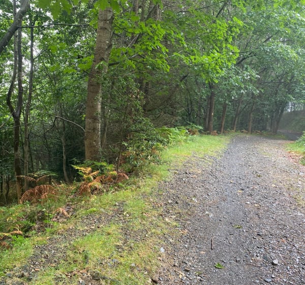 Balade en forêt au dessus d’Irun, Lapuriturri - Endarlatsa - 1