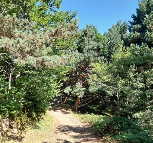 Balade par Varicauva, au départ du lac Bassa d'Oles - Gausac - 1