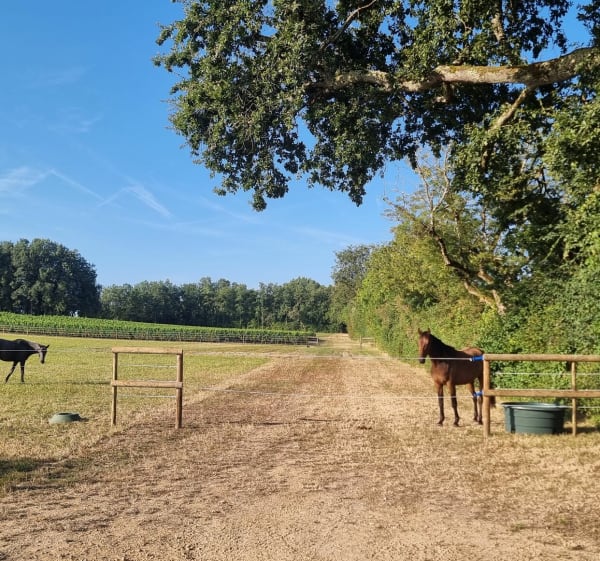 Vérac et Cassagne - Laure - 1