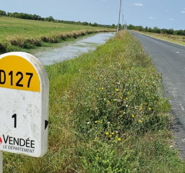 Les Marais Poitevin depuis Triaize - Vincent - 1