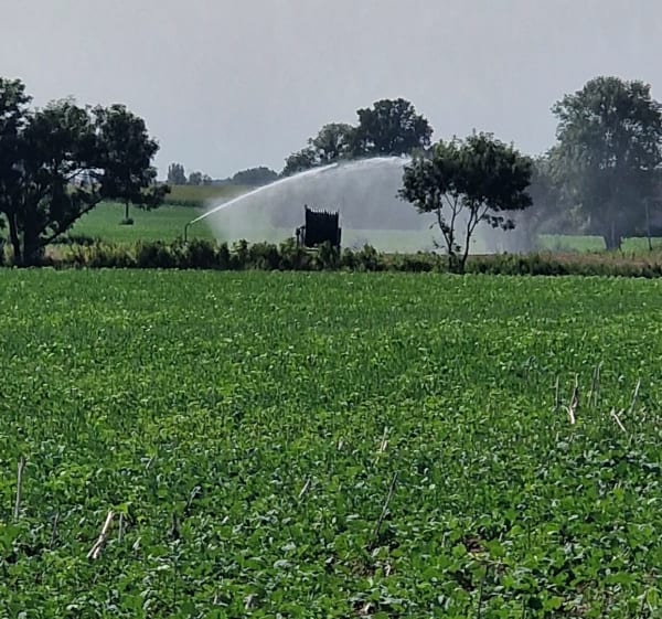 Campagne du Berry - Nade - 1