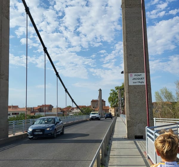 Des figuiers au centre historique de Rivesaltes - nicolas - 1