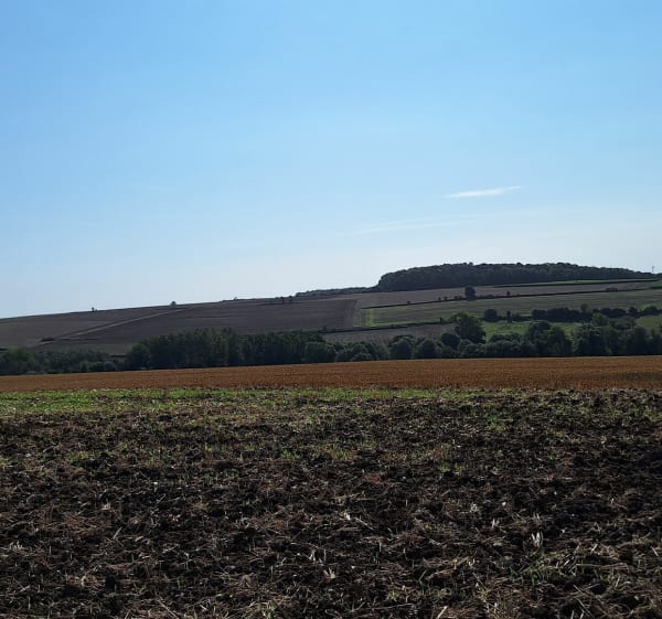 De Pas-en-Artois à Thièvres - Pascal - 1