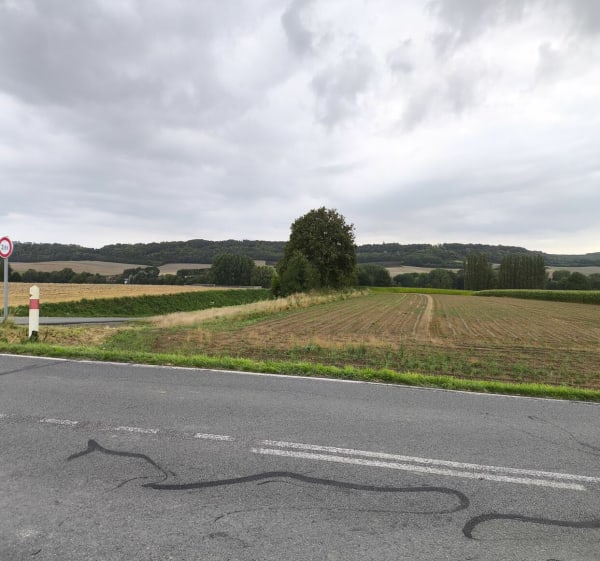 Parcours pour découvrir l'Artois - REYNALD - 1