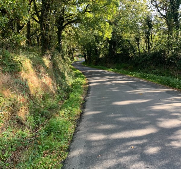 Entre chemin et route de campagne, par les Bataillères - Helene - 1