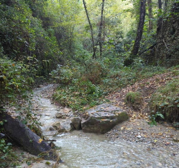 Boucle depuis Castagniers - Castagniers - 1