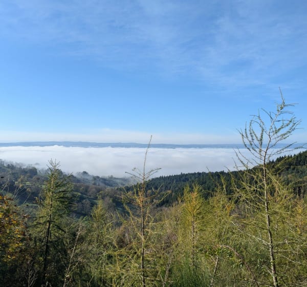 Balade sur les hauteurs de Pradelles par l'Hermitage - kevin - 1