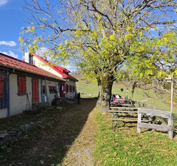 Boucle depuis Wegscheid vers la ferme auberge Belacker - Marilyn - 1