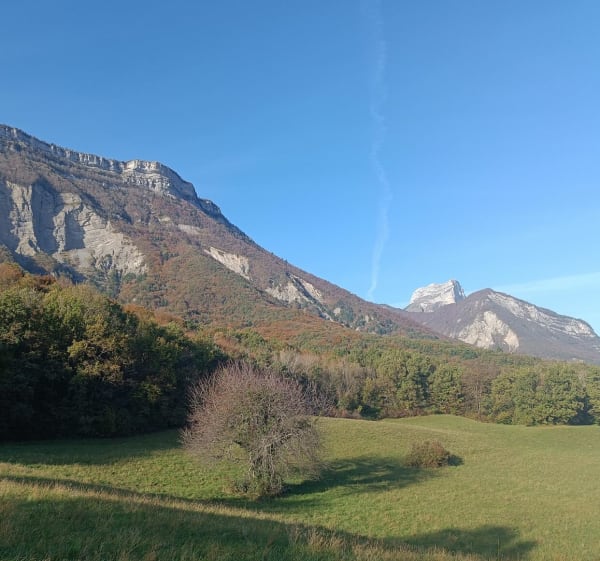 Les Ecorchiers par la Tour d'Arces - Anne - 1
