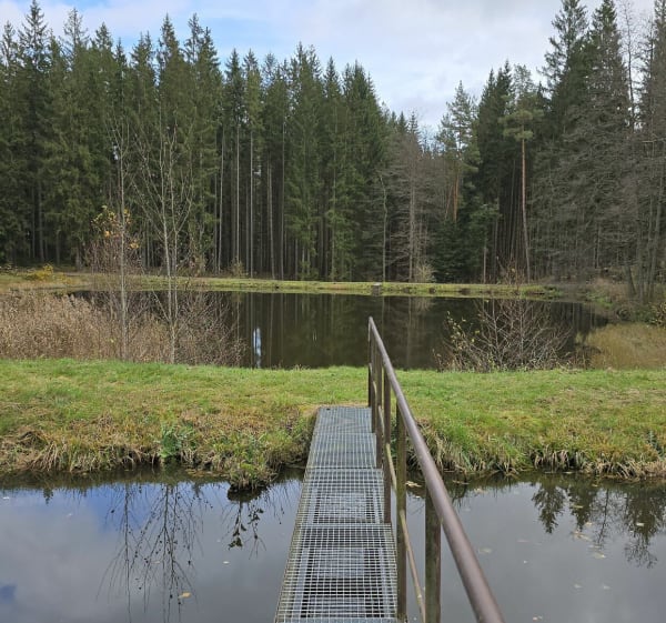 Hyncice (CZ) i miejsce na odpoczynek nad wodą - TOMASZ - 1