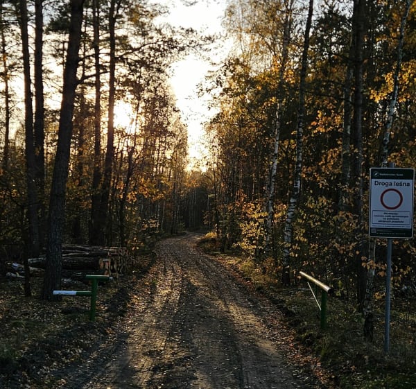 Okolice Spały i Pilicy - Łukasz - 1