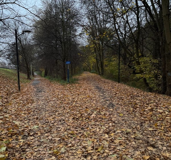 W koło lasu bielańskiego, AWF i uczelni UKSW - Maciej - 1