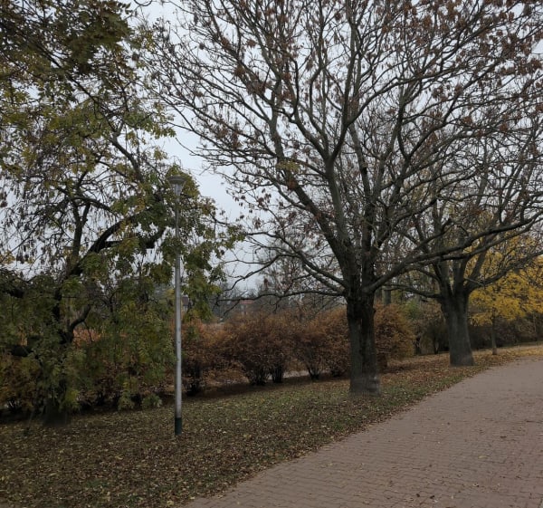 Włochy glinianki - Krzysztof - 1