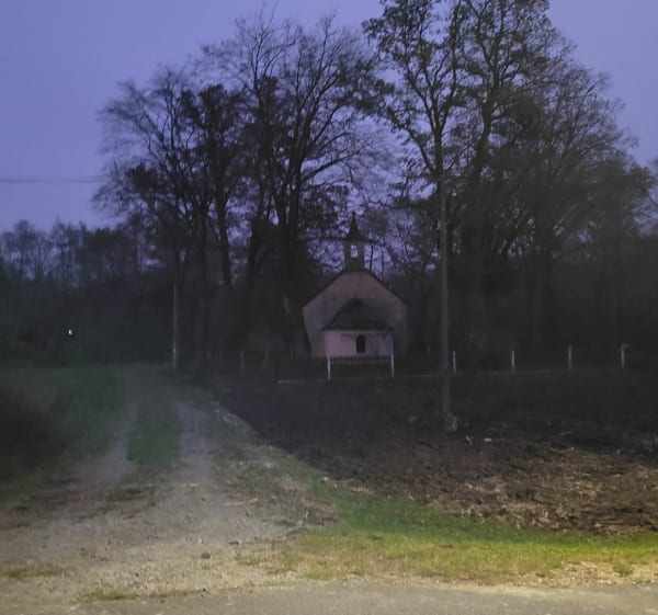 Krótka trasa do okoła Przybradza - Kacper - 1