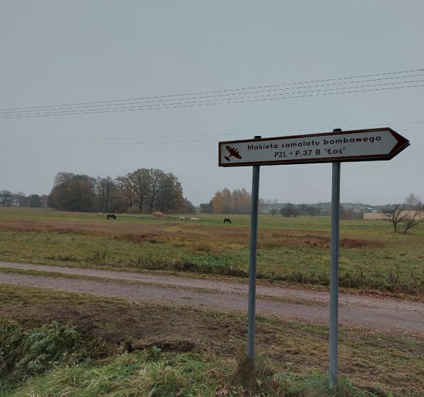 "Łoś" z Dłutowskiego Lasu - Justyna - 1