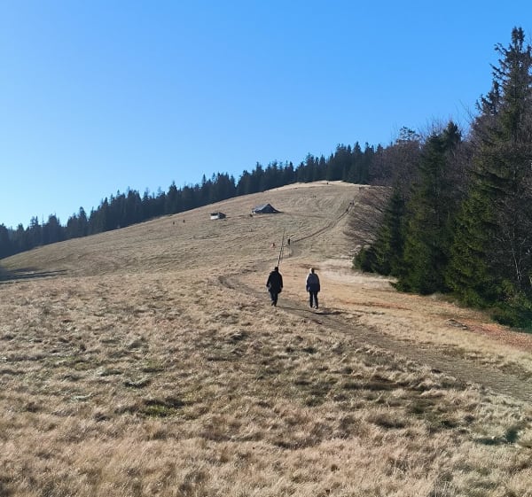 Krótka pętla do schroniska na Rycerzowej Hali - Krzysztof - 1