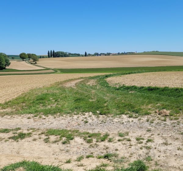 Kauffenheim - Niederlauterbach - Kauffenheim - 1