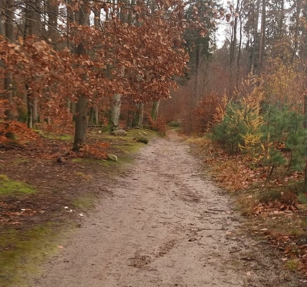 Pętla z Niedźwiednika - Tomasz - 1