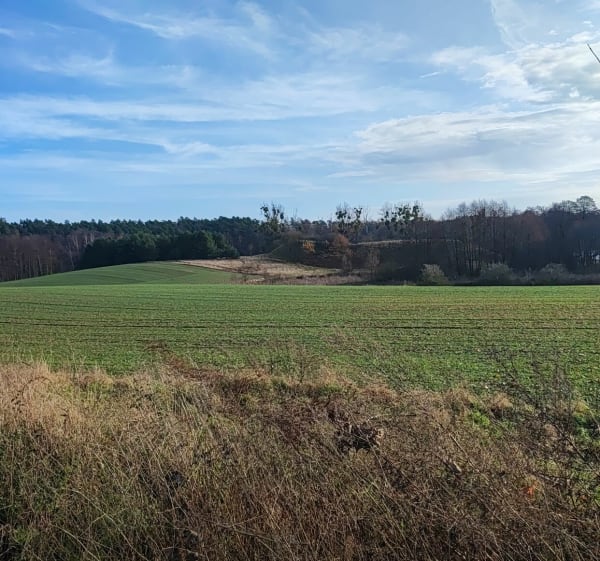 Do Bobrowa - Łukasz - 1