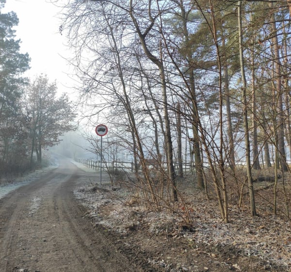 Zaciszne okolice Lasu Mokrzańskiego - Łukasz - 1