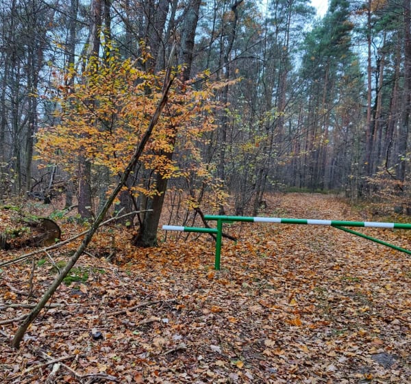 Pętla przy gajówce - Tomasz - 1