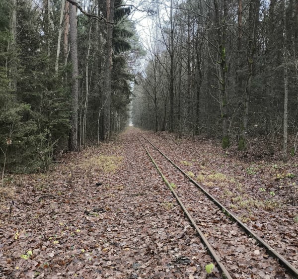 Spacer na Krynoczkę leśnymi ścieżkami - Michał - 1