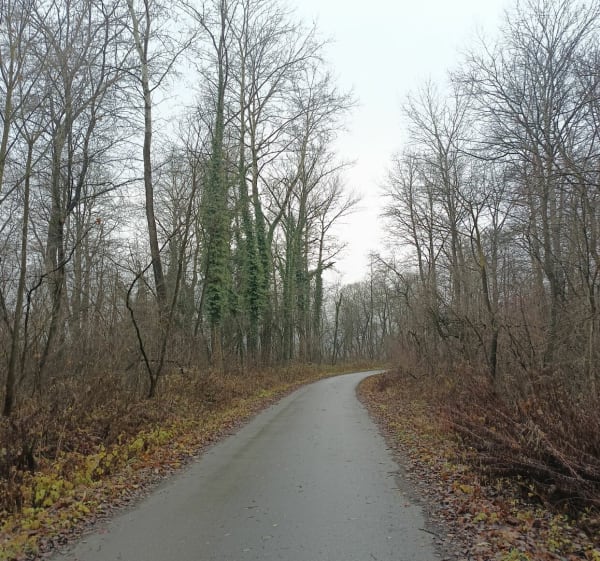 Pętla przez most w Gołkowicach oraz most św. Kingi - Przemysław - 1