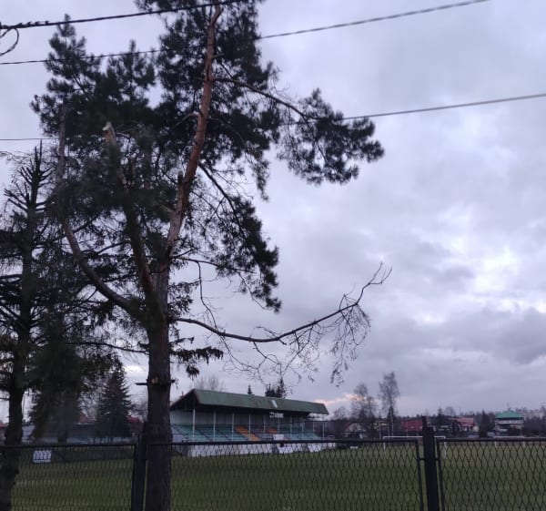 Wokół boiska i Park Nowy - Bernadetta  - 1