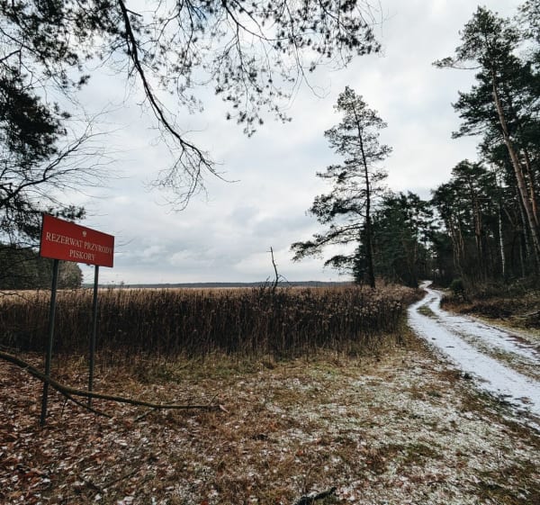 Leśny spacer - Niebrzegów - Rezerwat Piskory - Magdalena - 1