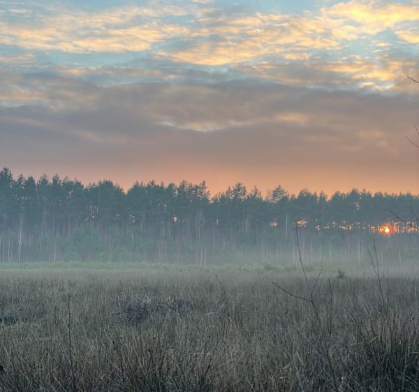 Biały Ług z miejscowości Lipowczyce - Zuzia - 1
