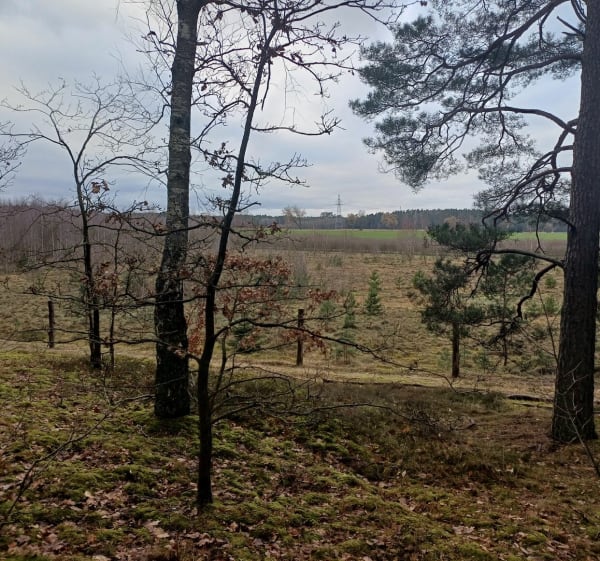 Z centrum przez Anielin do wieży Tecława - Andrzej - 1