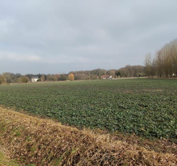 Balade dans la Forêt de Phalempin et Château de l'Ermitage - Guillaume - 1