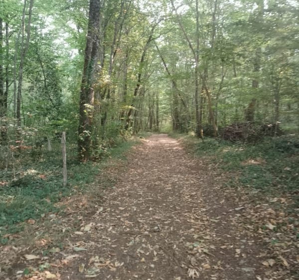 Boucle des Hameaux de Queyssac - Estelle - 1