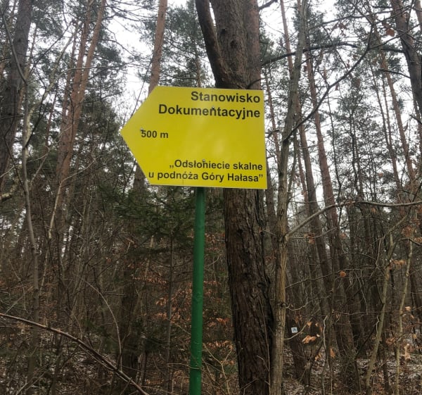 Trekking Popołudniowy - Michał - 1