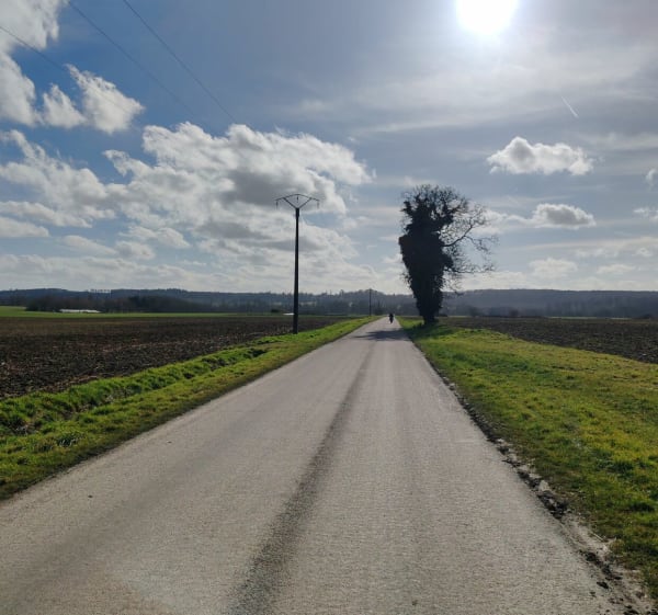 Forêt de Retz au départ de La Ferté-Milon - Mylène - 1