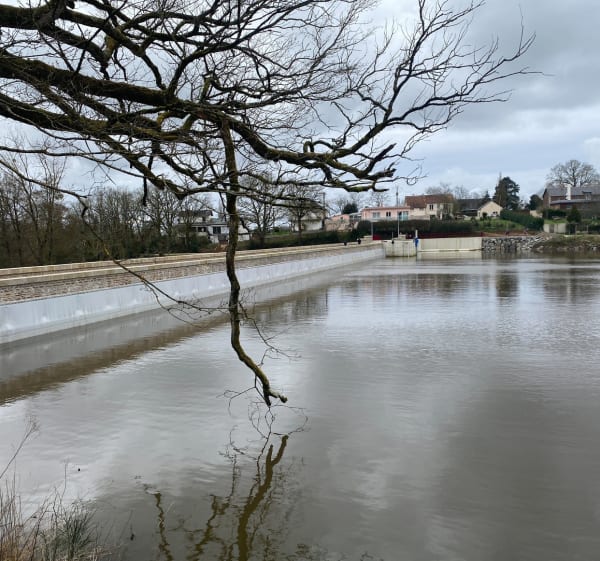 Promenade en bordure du lac de Vioreau - bertrand - 1