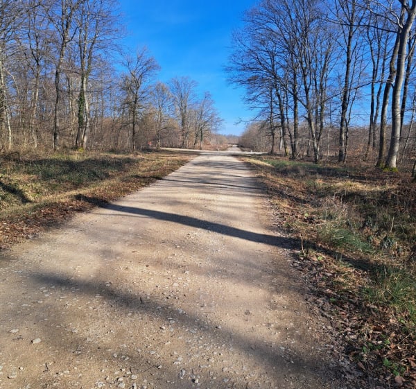 Sortie sur les hauteurs de Frouard - DENIS - 1