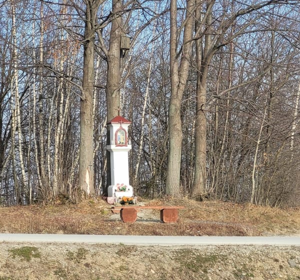 Kopalnia Żarnowa i Kolo - Jacek - 1