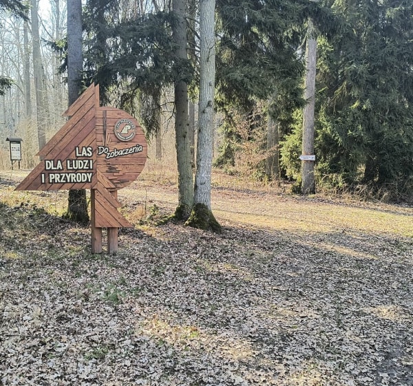Miradz Las dla ludzi i przyrody - Radosław - 1
