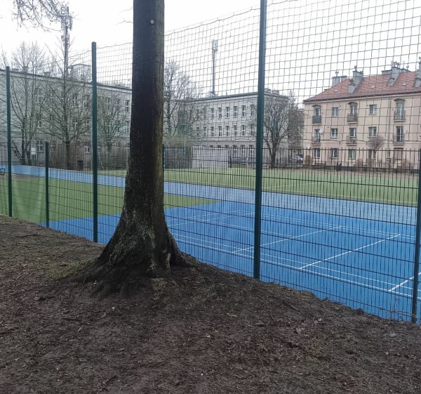 Chorzów Biegowo w stawu Kalina - Witold - 1